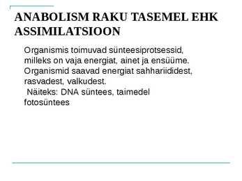 Millest sõltub ainevahetuse kiirus ja mis seda reguleerib #4