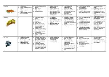 Marjakultuurid #2