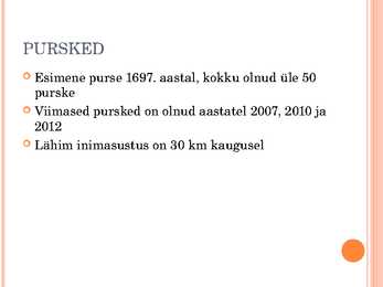 Kljutsevskavaja sopka #5