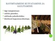 RAVIMTAIMED JA NENDE KASUTAMINE-RAVIMIVORMID #4