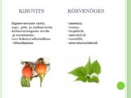 RAVIMTAIMED JA NENDE KASUTAMINE-RAVIMIVORMID #6