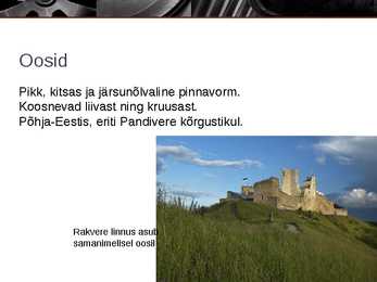 Mandrijäätekkelised pinnavormid #6