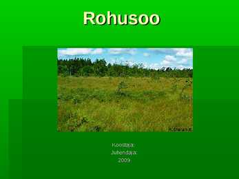 Rohusoo