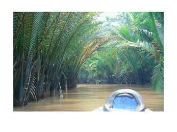 Vietnam #16
