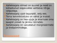 Kaheksajalad #3