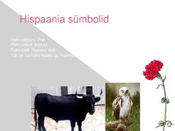 Powerpoint HISPAANIA #11