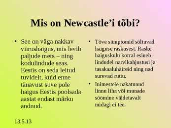 Turunduse ettekanne - AS TALLEGG #8