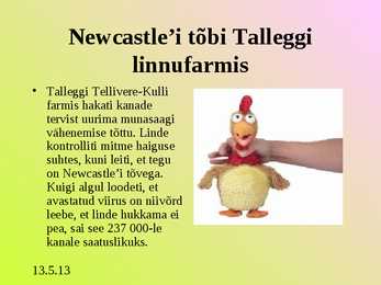 Turunduse ettekanne - AS TALLEGG #9
