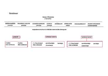 Organisatsiooni struktuur #3