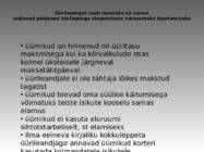 Korteri Üürimine Leping #5