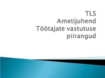 Ametijuhend-töötajate vastutuse piirangud