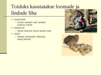 Liha eeltöötlemine #12