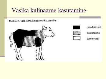 Liha eeltöötlemine #29