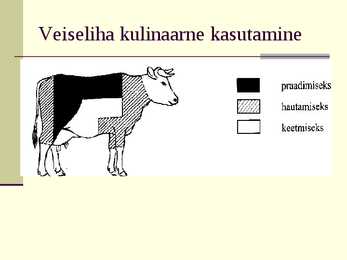 Liha eeltöötlemine #30