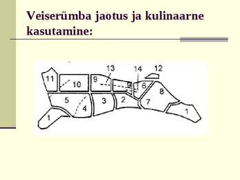 Liha eeltöötlemine #31