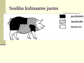 Liha eeltöötlemine #33