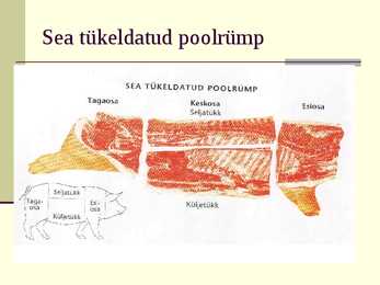 Liha eeltöötlemine #9