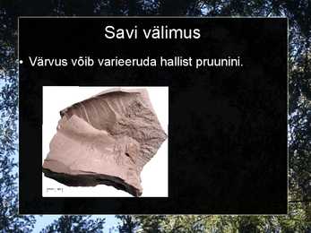 Liiv-savi ja tellised #13
