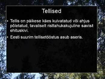 Liiv-savi ja tellised #14