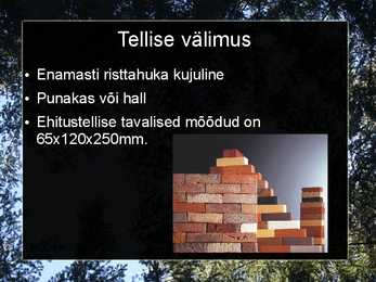 Liiv-savi ja tellised #17
