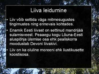 Liiv-savi ja tellised #3