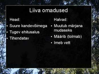 Liiv-savi ja tellised #4