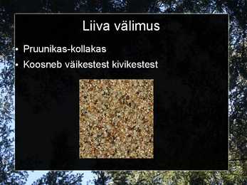 Liiv-savi ja tellised #6