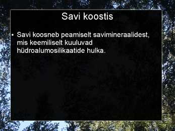 Liiv-savi ja tellised #8