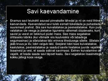 Liiv-savi ja tellised #9
