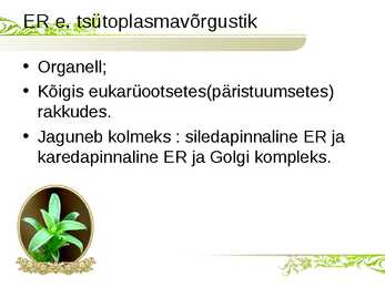 Endoplasmaatiline retiikulum ja Golgi kompleks #2
