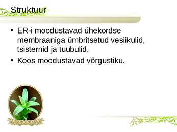 Endoplasmaatiline retiikulum ja Golgi kompleks #3