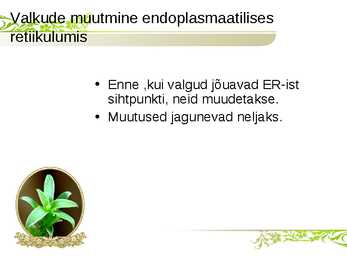 Endoplasmaatiline retiikulum ja Golgi kompleks #6