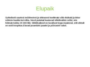 Tirtsud ja ritsikad #2