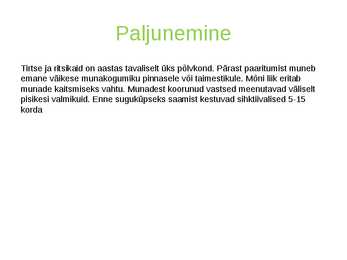 Tirtsud ja ritsikad #5