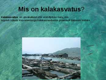 KALAKASVATUS #2