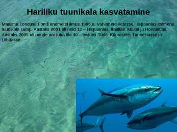 KALAKASVATUS #3