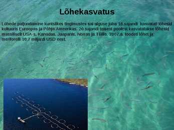KALAKASVATUS #5