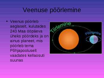 Veenus #11
