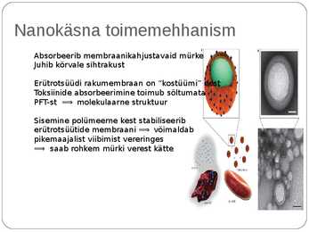 Keemiainformaatika presentatsioon #9