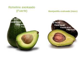 AVOKAADO #3