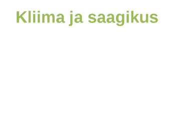 AVOKAADO #6