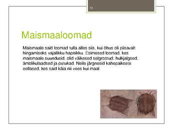 Taimede-loomade ja inimeste evolutsioon #13