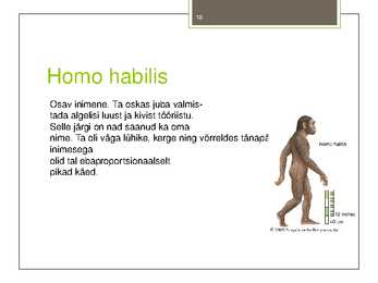 Taimede-loomade ja inimeste evolutsioon #18