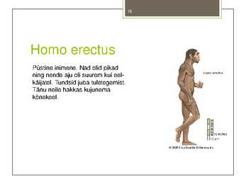 Taimede-loomade ja inimeste evolutsioon #19