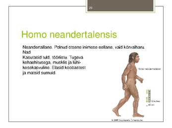 Taimede-loomade ja inimeste evolutsioon #20