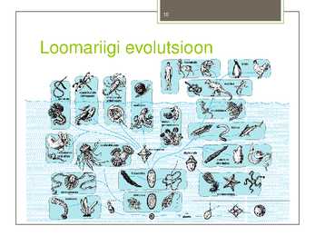 Taimede-loomade ja inimeste evolutsioon #10