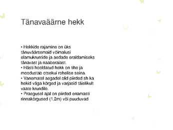 HEKID #19