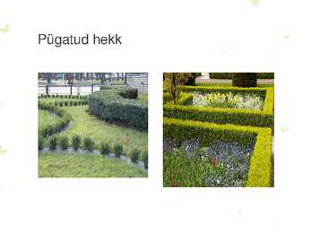 HEKID #5