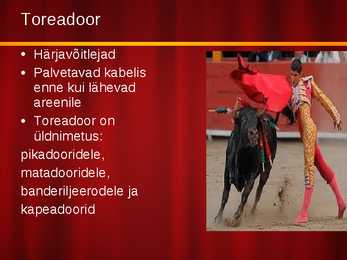 Härjavõitlus #9