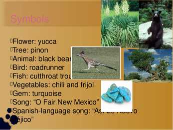 New Mexico #8